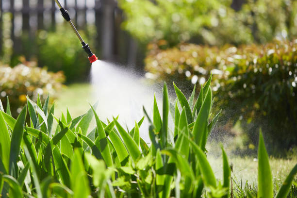 24/7 Emergency Wasp Removal experts in Carbon Cliff, IL