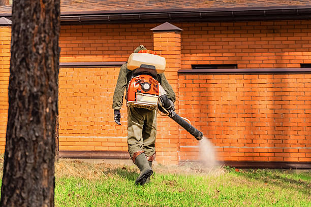 Top rated local Wasp Removal specialists in Carbon Cliff, IL
